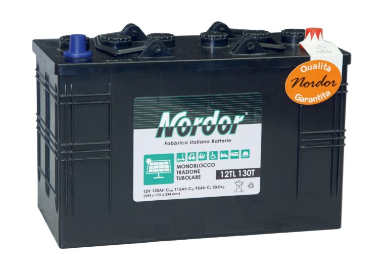 Batterie TRAZIONE con piastra TUBOLARE